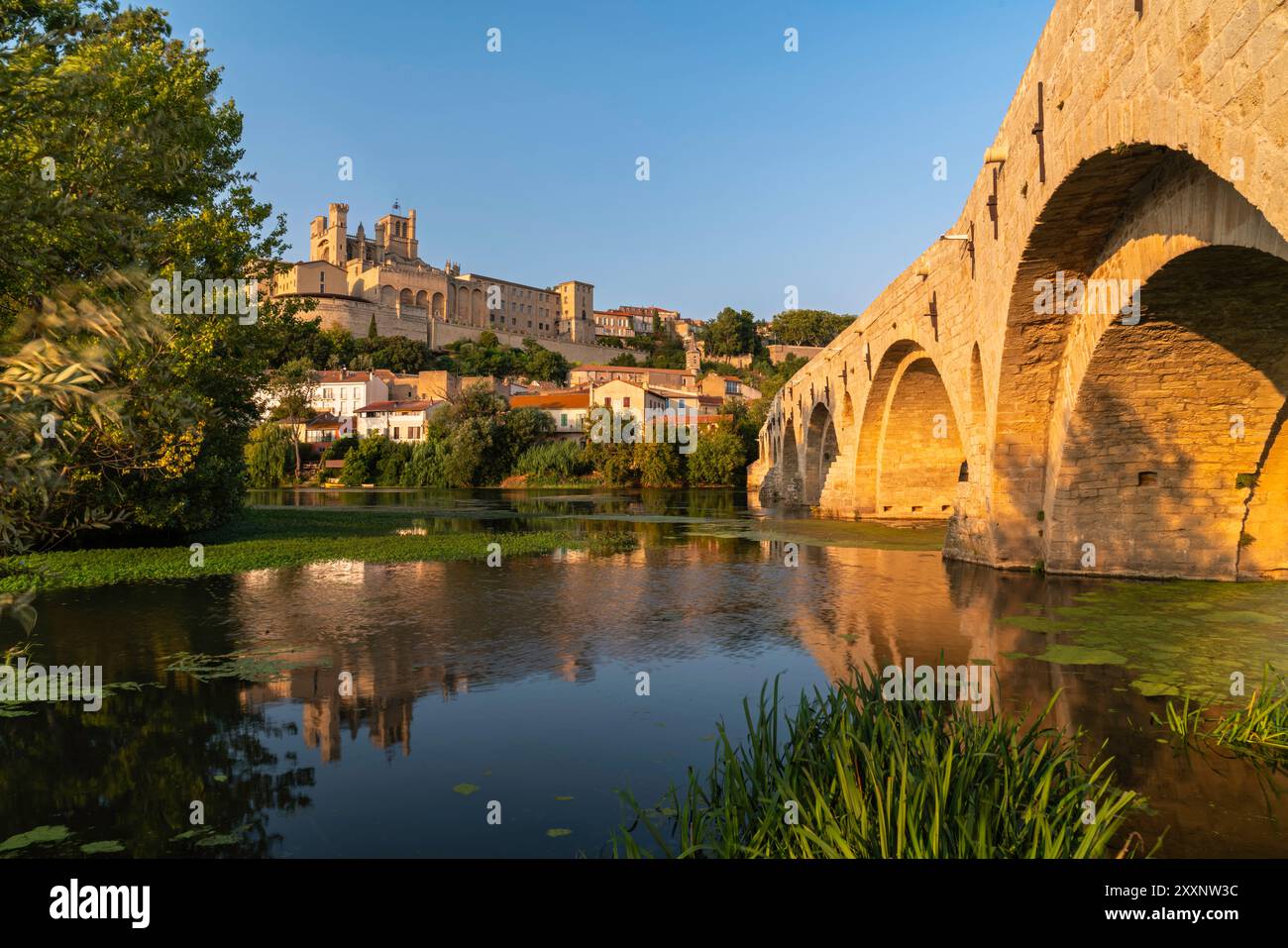 Cathedral de Saint-Nazaire de Béziers and the Pont Vieux Roman bridge ...