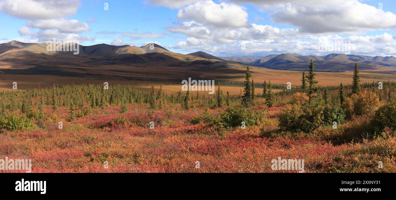 An Artic Circle Near Me Guide to Understanding the Earths Northernmost Frontier
