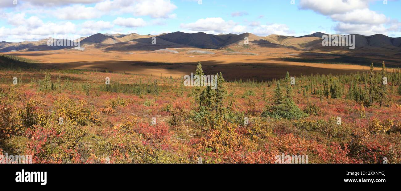Arctic Circle Near Me