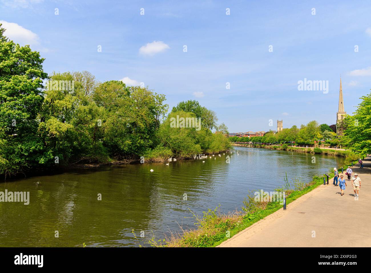 View looking north along the River Severn in Worcester, a cathedral city and county town of Worcestershire, West Midlands, England Stock Photo