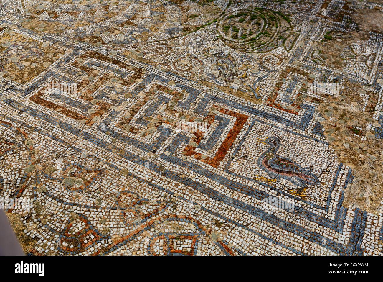 Remains Of Artful Mosaics Decorating Floors Of Houses In Ephesus 