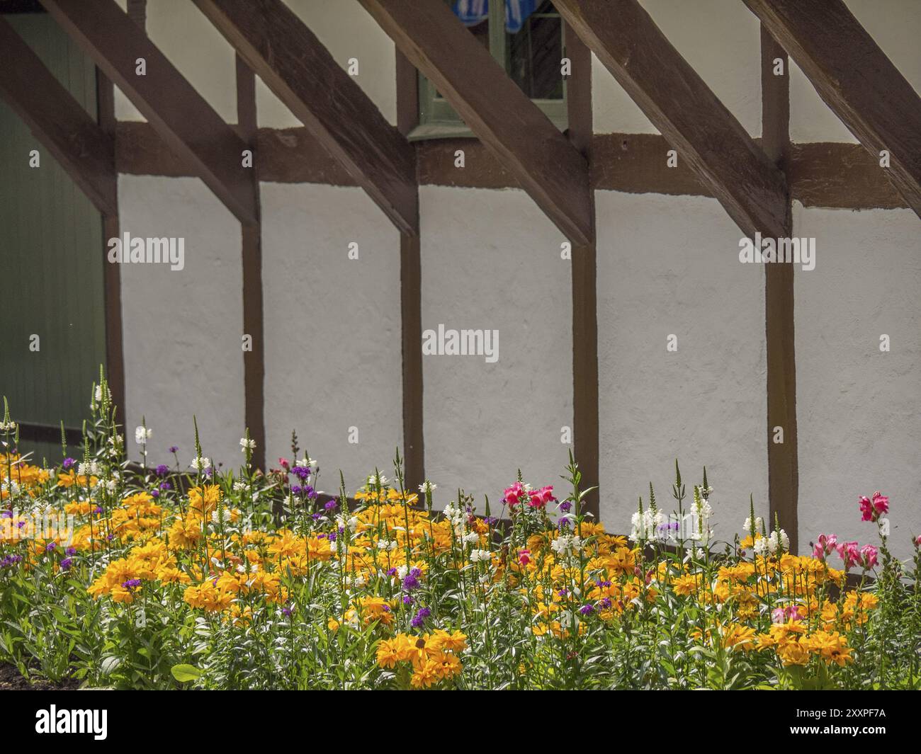 Flower bed in front of a rustic half-timbered house with colourful pink and yellow flower-bed, supported by wooden beams, ystad, sweden, baltic sea, s Stock Photo