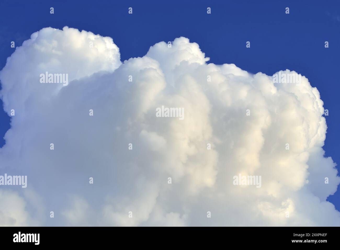 Closeup white cloud hi-res stock photography and images - Alamy