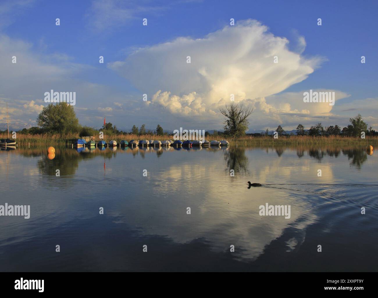 Big summer cloud mirroring hi-res stock photography and images - Alamy