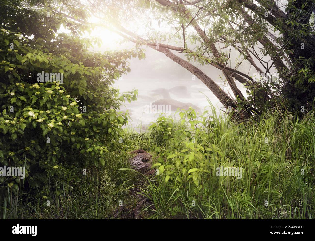 Beautiful river bank in sunny hi-res stock photography and images - Alamy