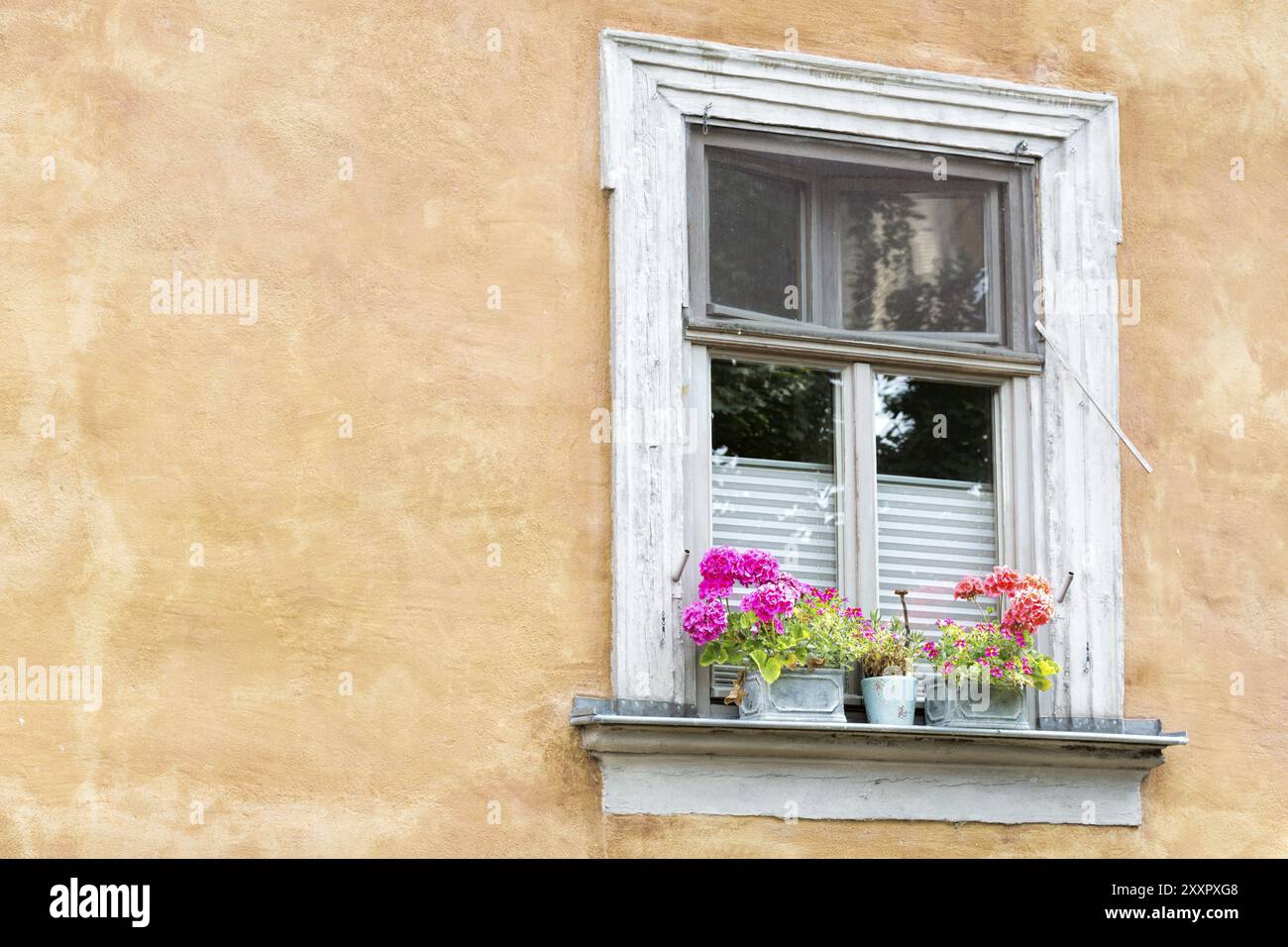 One window on facade hi-res stock photography and images - Alamy