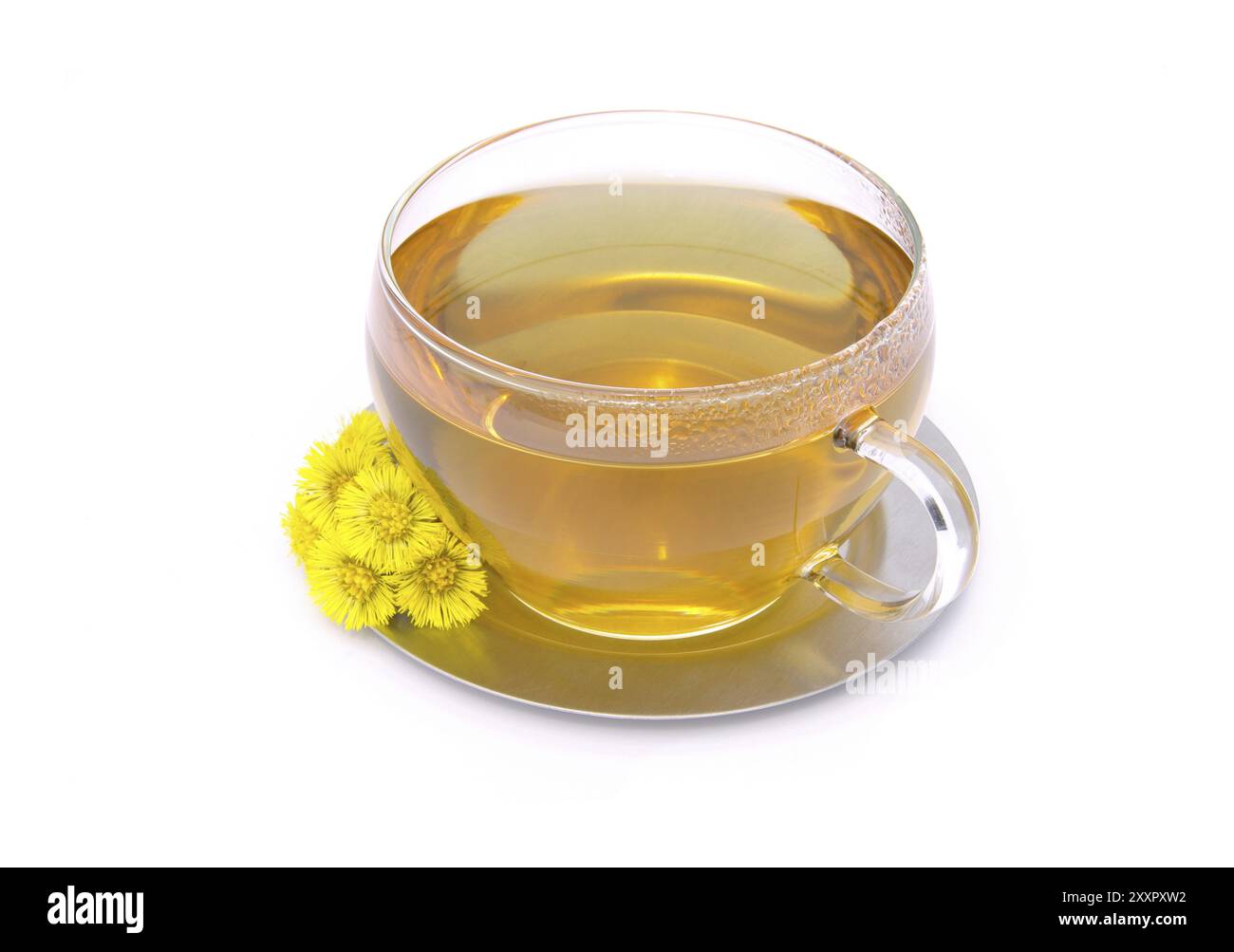 Coltsfoot tea, tea Coltsfoot Stock Photo