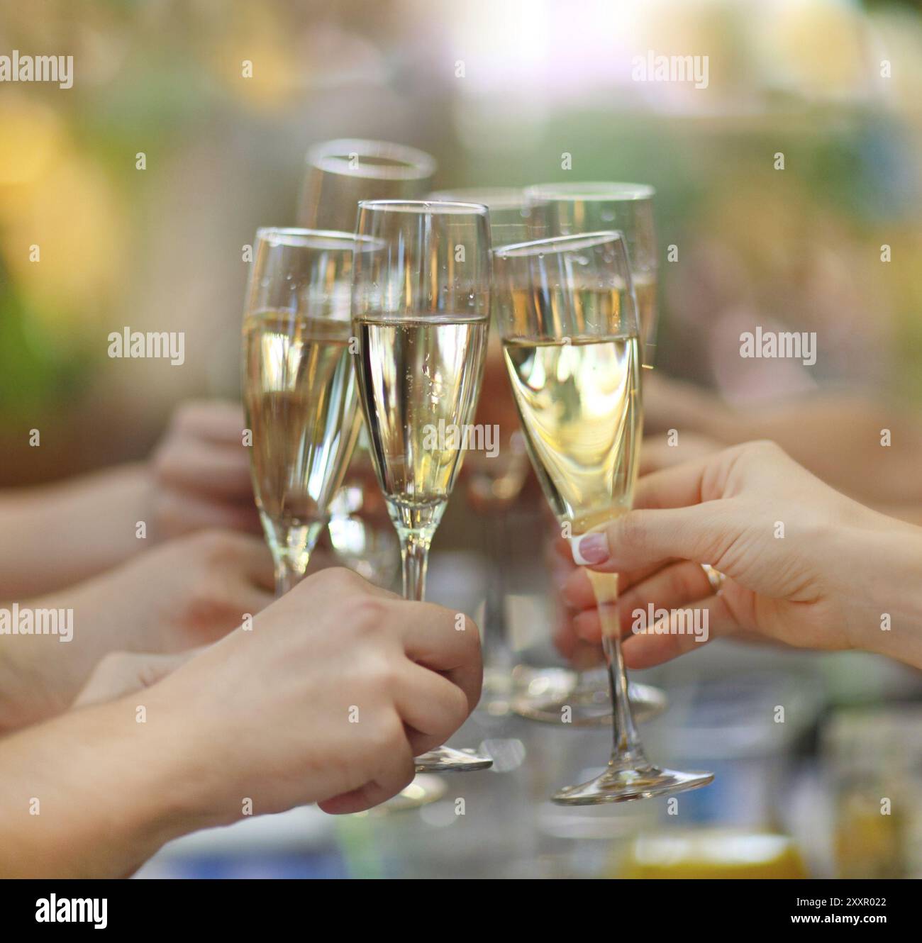 Celebration. People holding glasses of champagne making a toast Stock ...