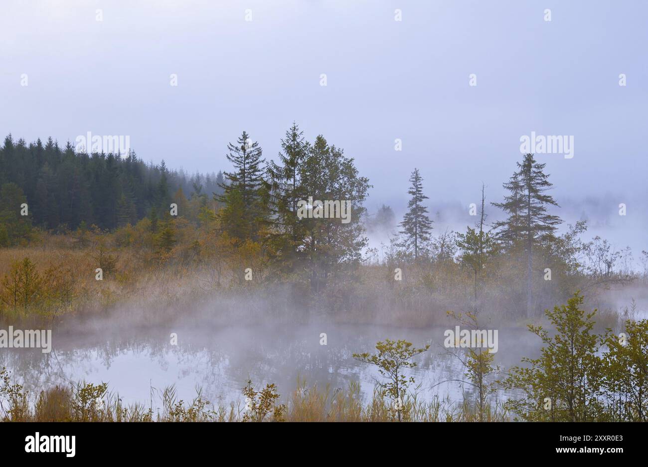 The barmsee on a foggy morning hi-res stock photography and images - Alamy