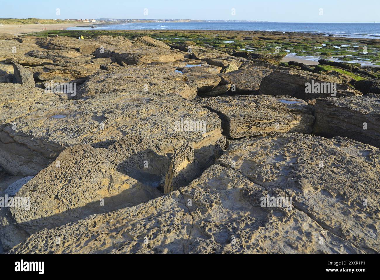 Rocks on the lakeshore near Audresselles Stock Photo