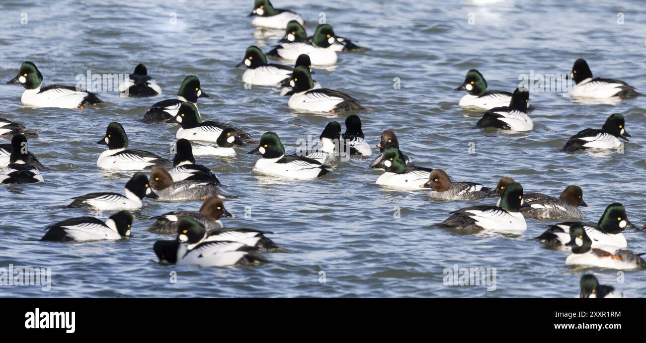 Natural scen from Manitowoc river in Wisconsin Stock Photo