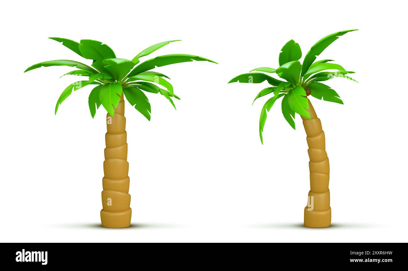 Palm tree with coconut. Realistic 3d vector illustration set of exotic tropical plant with green leaves. Jungle woods in different angles of view for summer sea and ocean beach vacation concept. Stock Vector