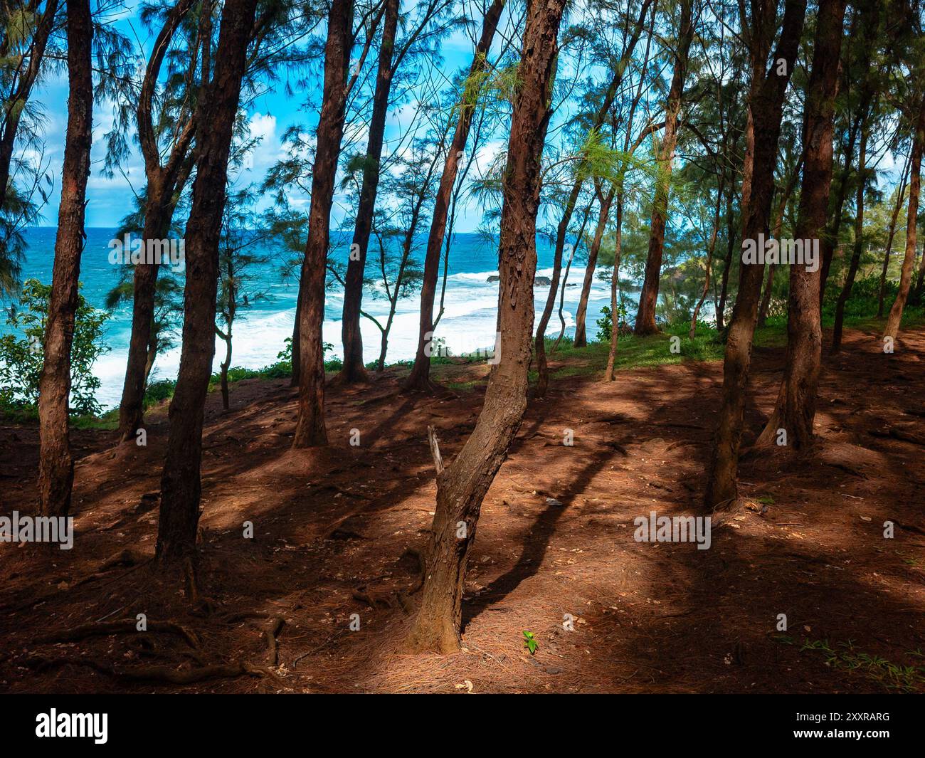 Impressionist Ocean Horizon Painting - Etsy