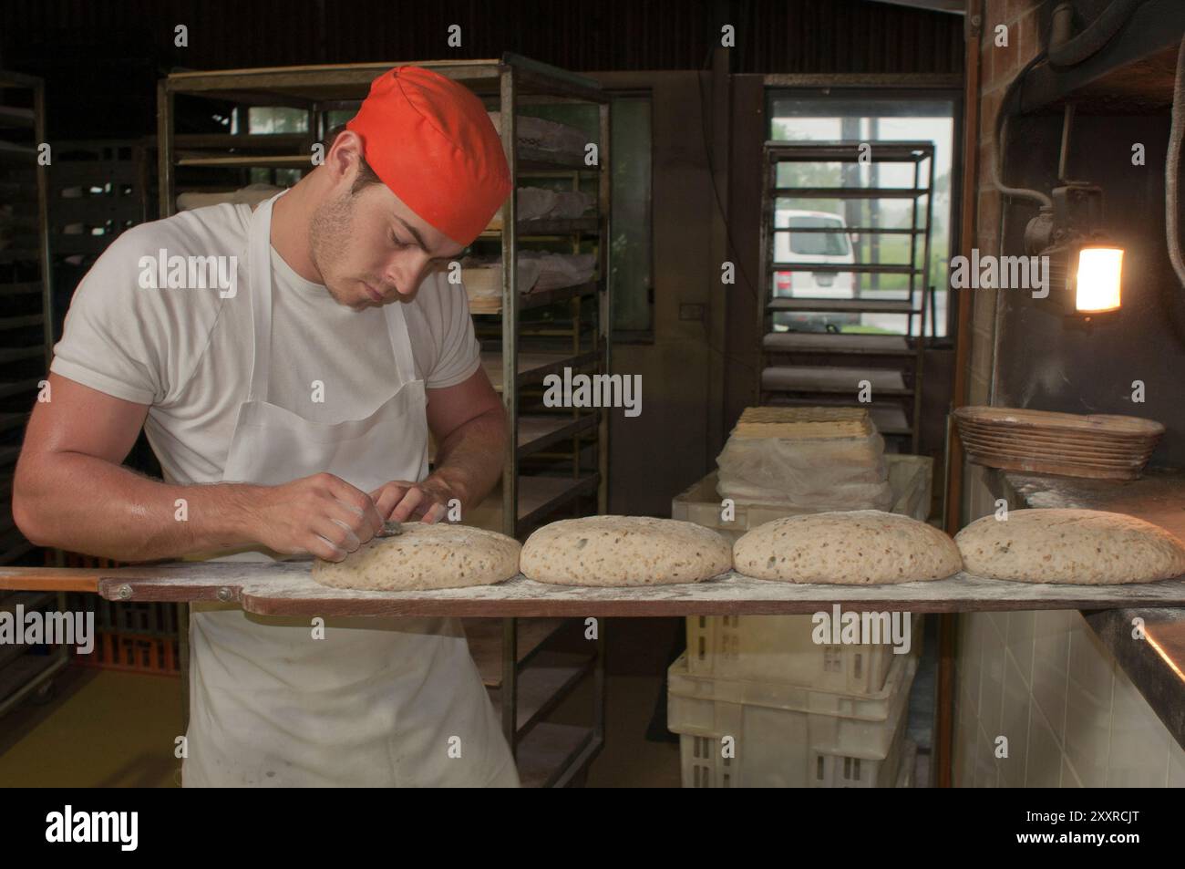 Young baker scoring the top of unbaked sourdough loaves with a razor ...