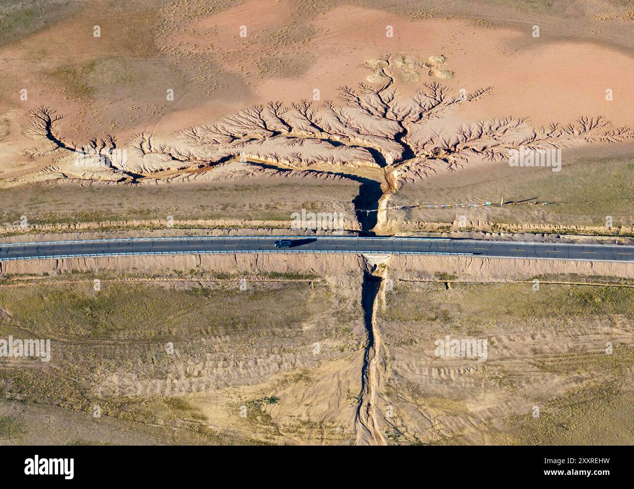 Porno sorish Dick odam odam Yuqori va pastki BDSM uchun munajjimlar bashorati