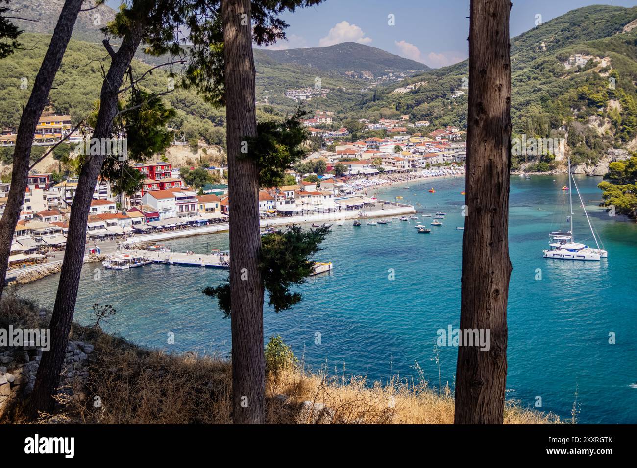 Aerial view palm trees boats hi-res stock photography and images - Alamy