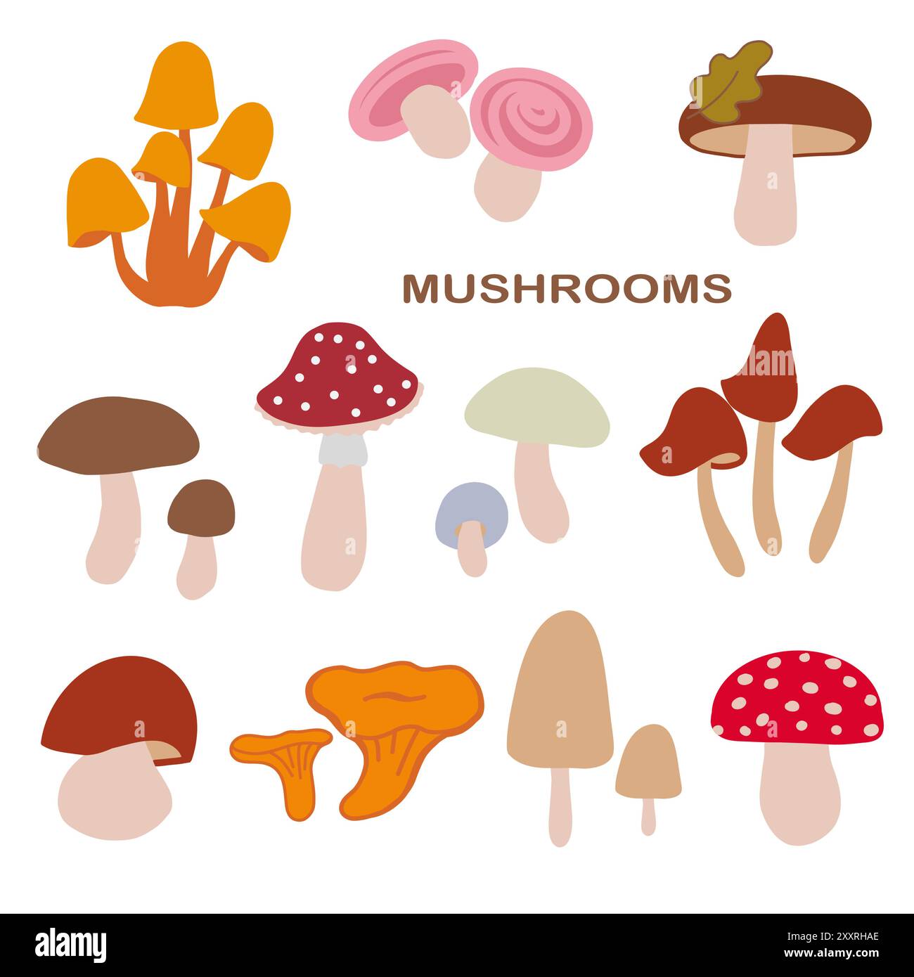 Educational nature collection Stock Vector Images - Alamy