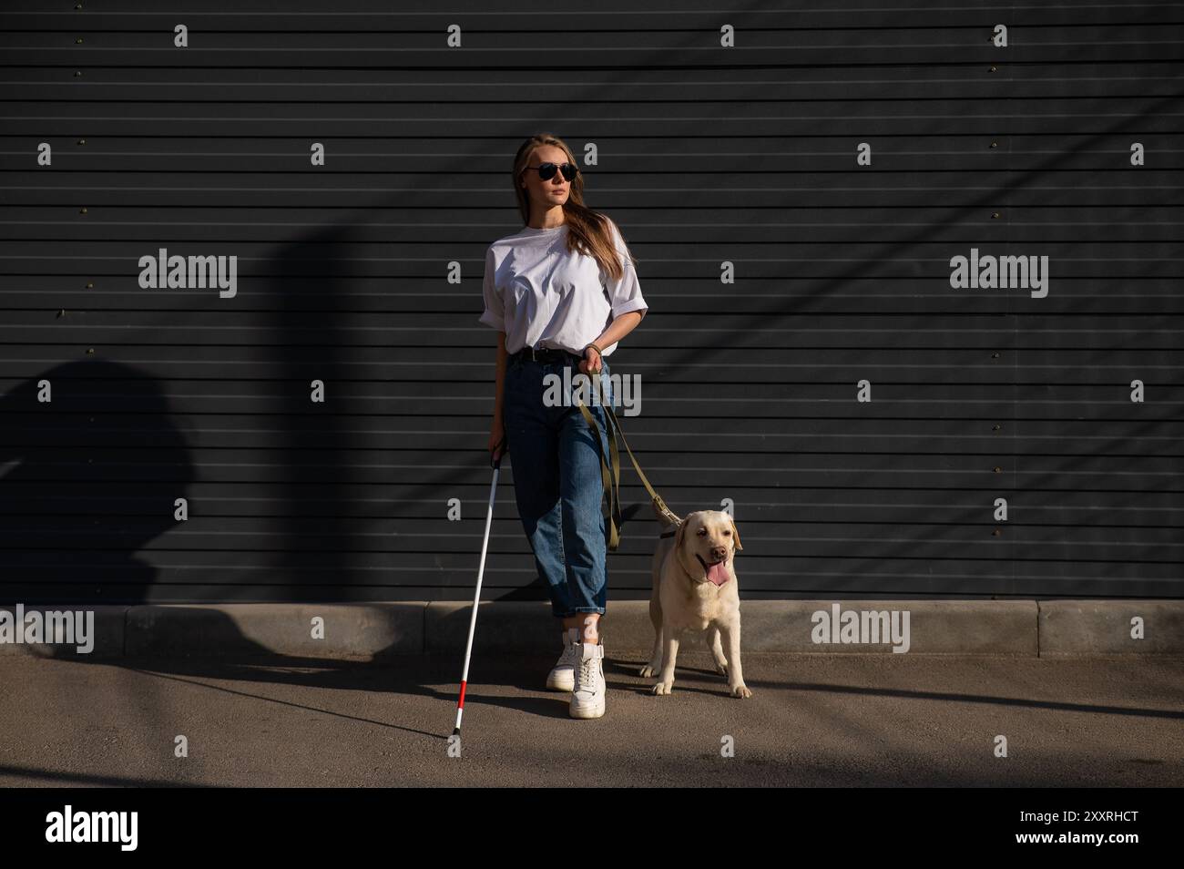 Blind woman walking guide dog outdoors Stock Photo - Alamy