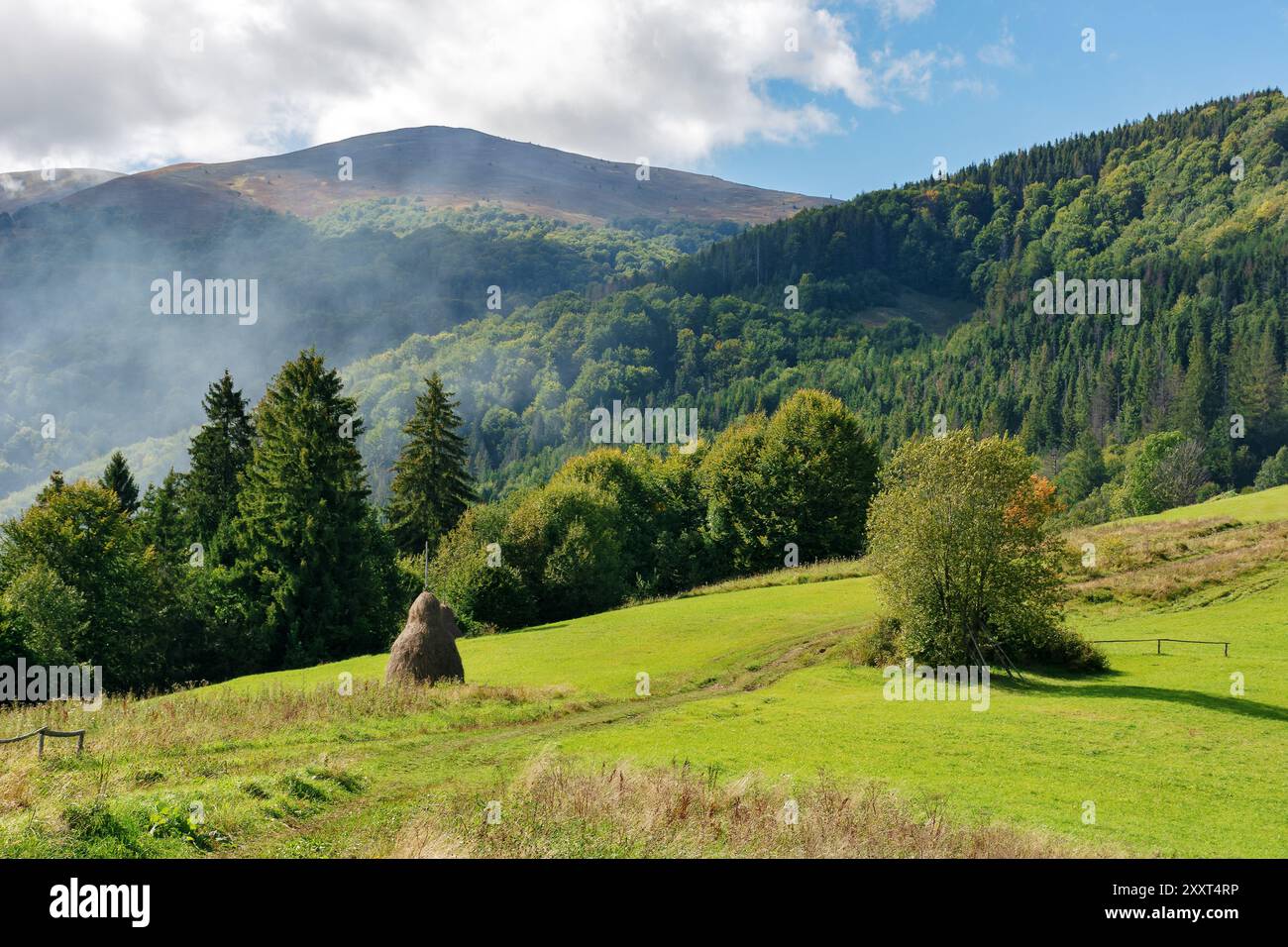 carpathian rural landscape in autumn. beautiful countryside scenery of ukraine on a sunny day. haystacks on the green pasture near forest Stock Photo