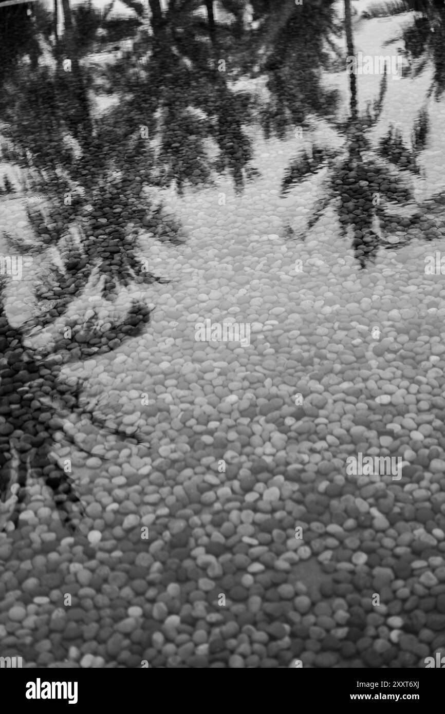 Reflection photo Black and White Stock