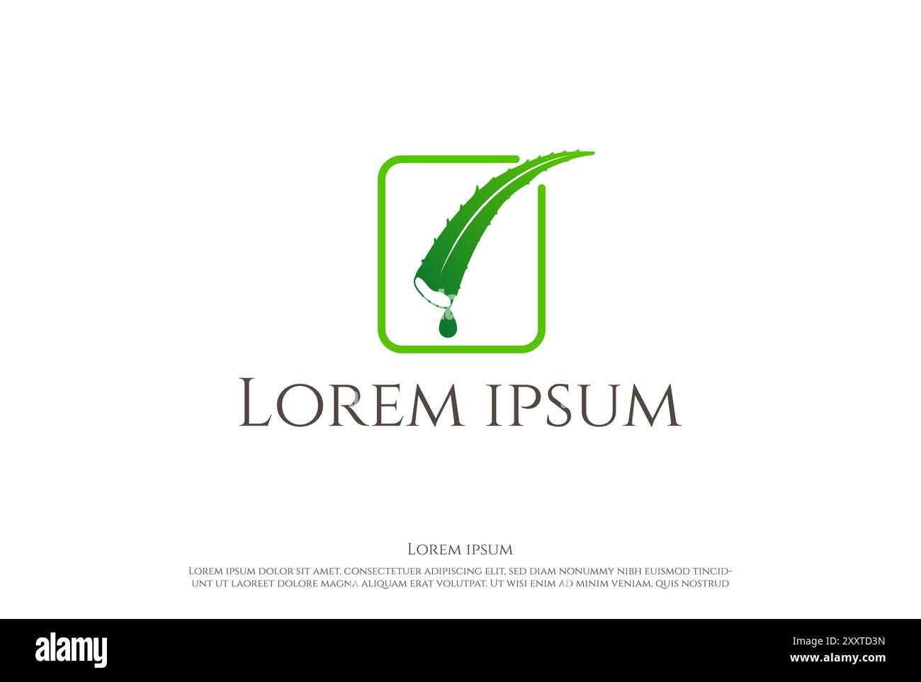 Simple Minimalist Aloe Vera for Herbal Wellness Cosmetic Nature Logo Design Vector Stock Vector
