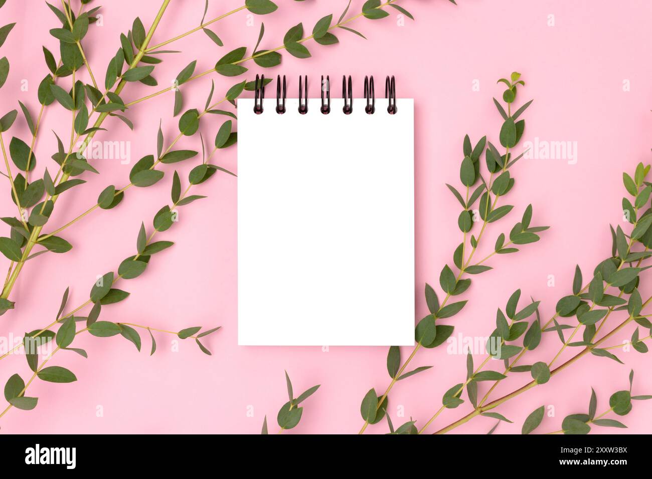 Eucalyptus branches and clean notepad mockup on a pink background. Stock Photo