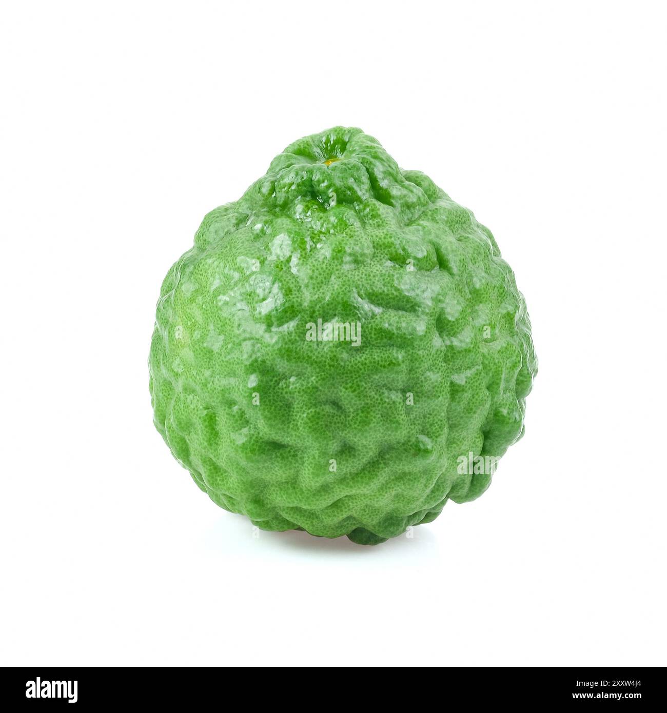 Close up kaffir lime citrus hi-res stock photography and images - Alamy