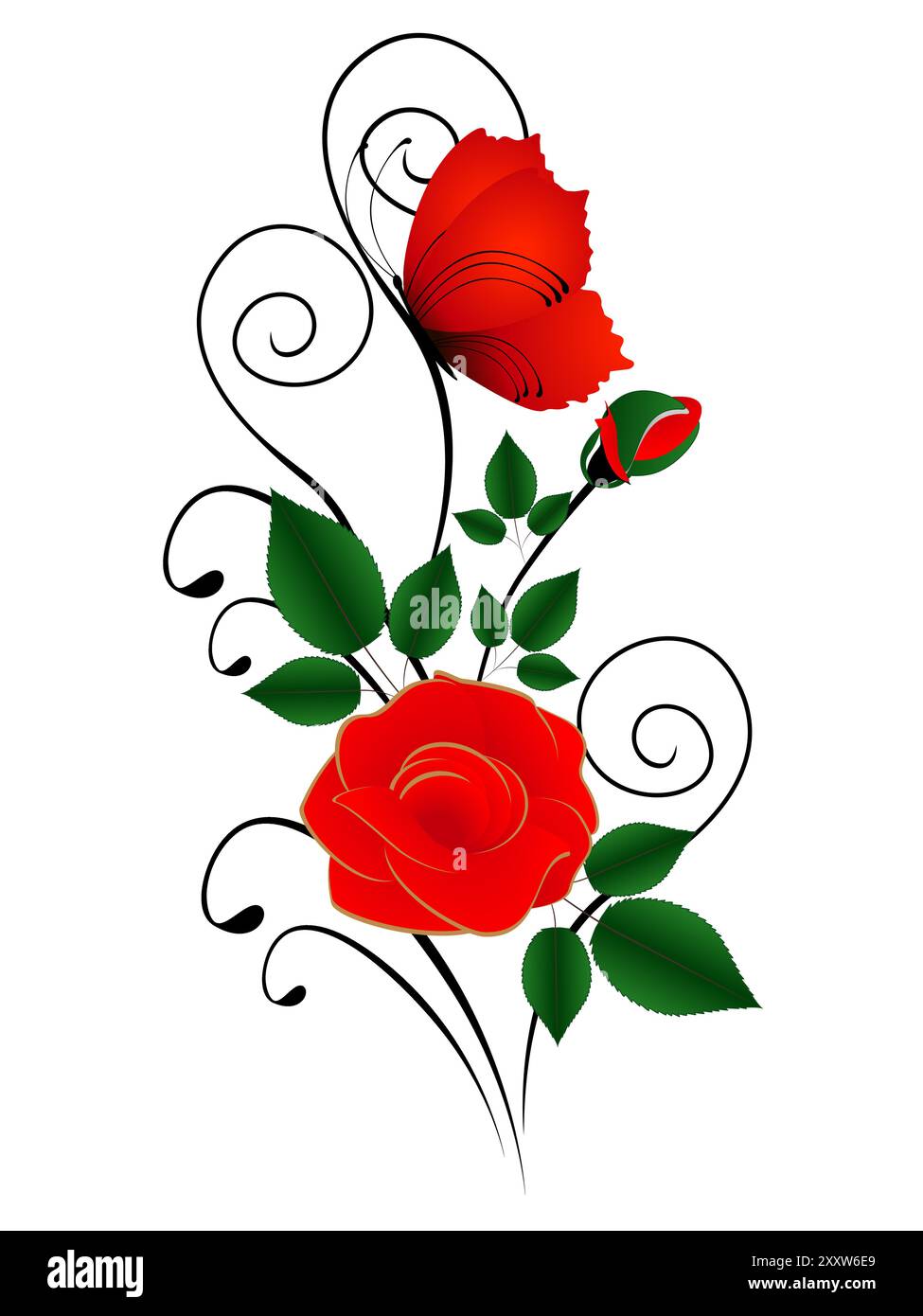 Composition of a red rose and butterfly isolated on a white background ...