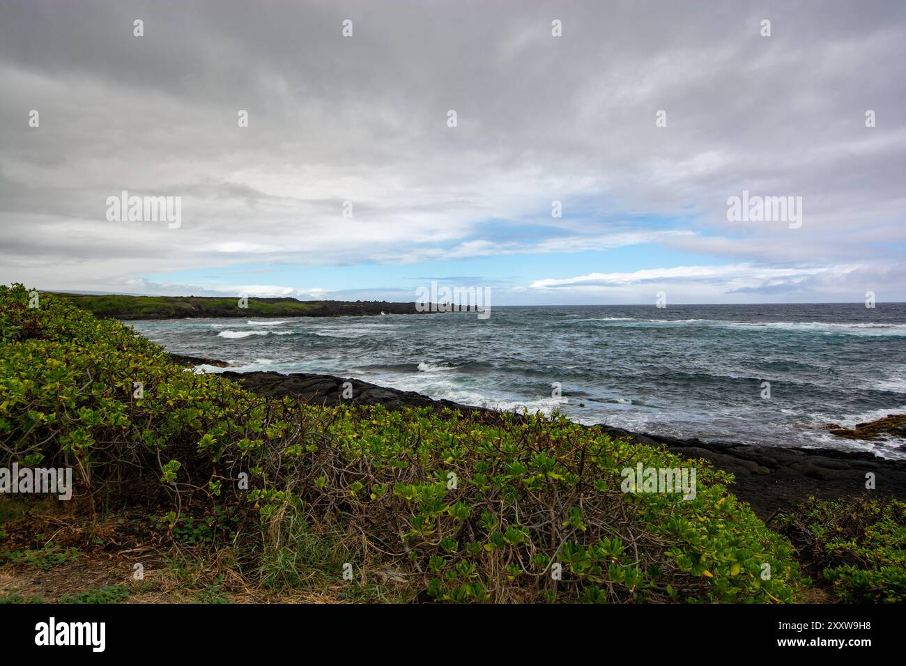 punaluu black sand beach big island