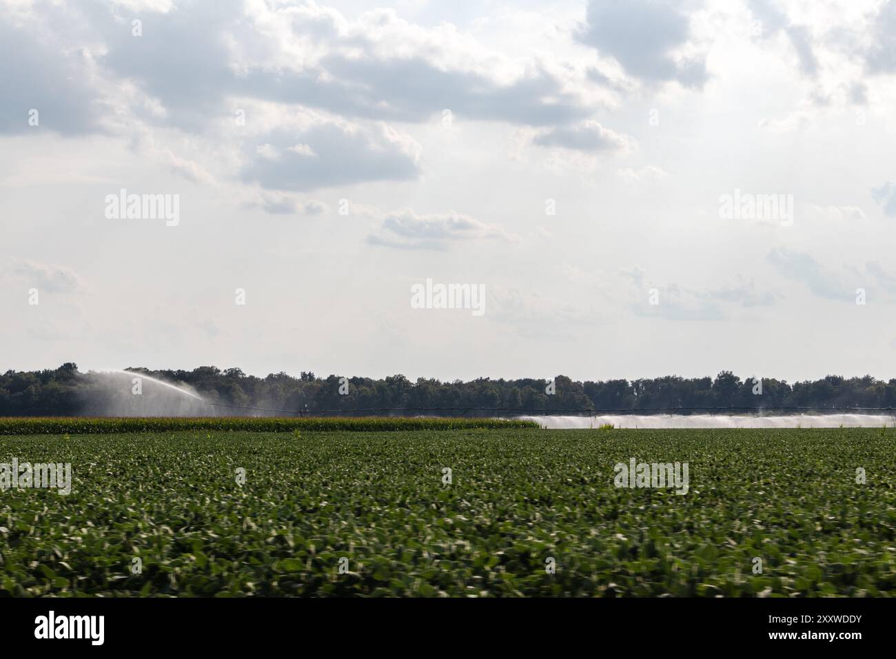 Center-Pivot irrigation system watering crops in the midwest Stock Photo