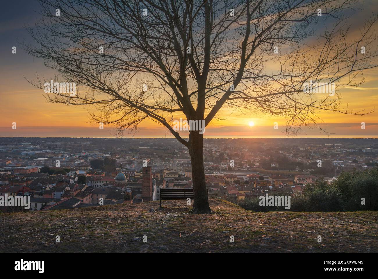 Tree, a bench and Pietrasanta panoramic view from Rocca di Sala fortress at sunset. Versilia, province of Lucca, Tuscany region, Italy, Europe Stock Photo