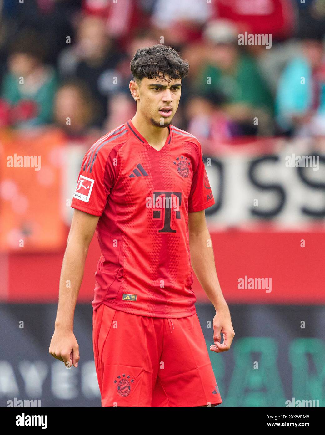 45 aleksandar pavlovic hi-res stock photography and images - Alamy