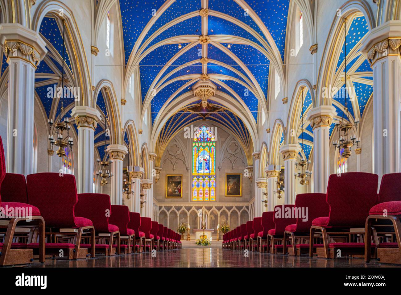 Indoor of the the assumption cathedral hi-res stock photography and ...