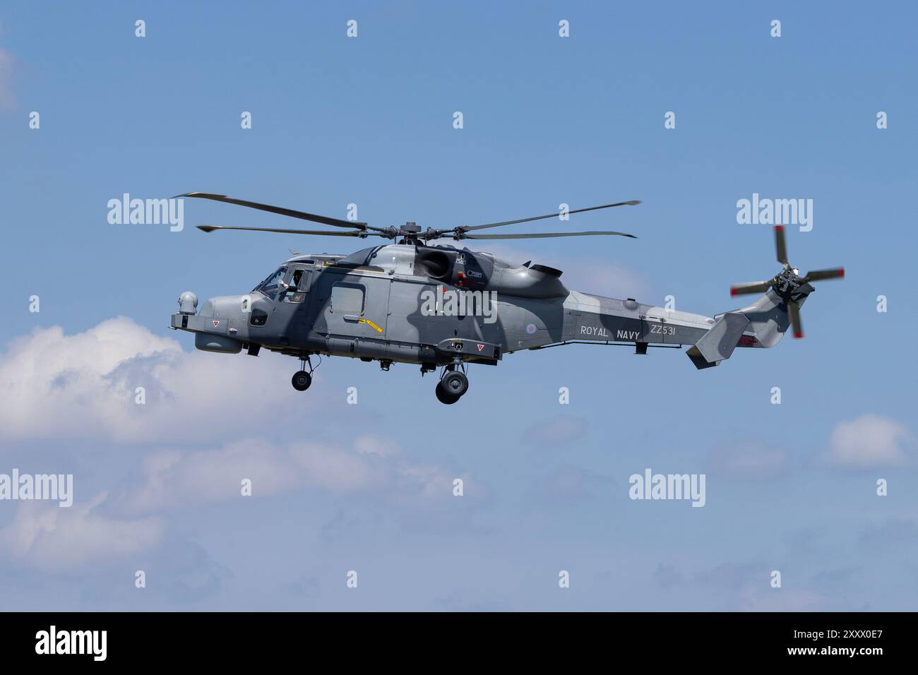 Royal Navy Wildcat flying on July 19th 2024 at RAF Fairford, Gloucestershire, UK Stock Photo