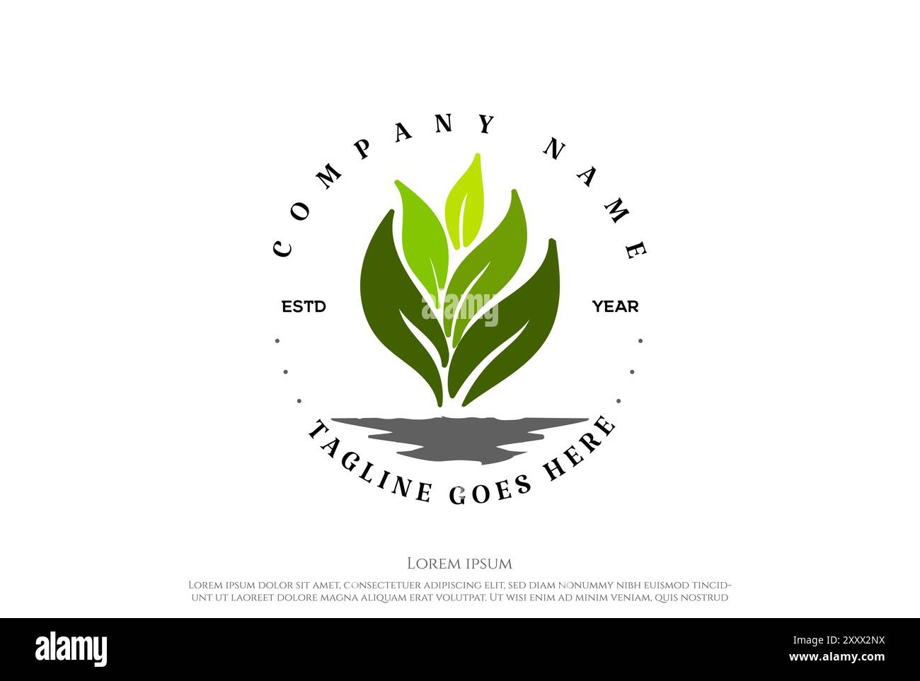 Vintage Growing Plant Leaf Leaves Nature Herbal Garden Environment Logo Design Vector Stock Vector