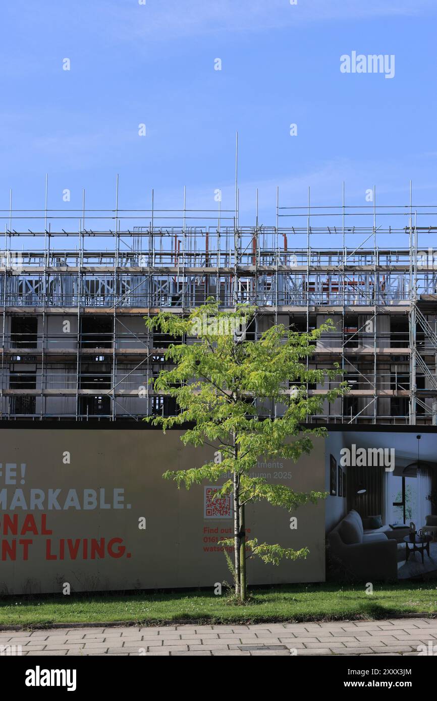 Tree and hoarding in front of new development with scaffolding and blue ...