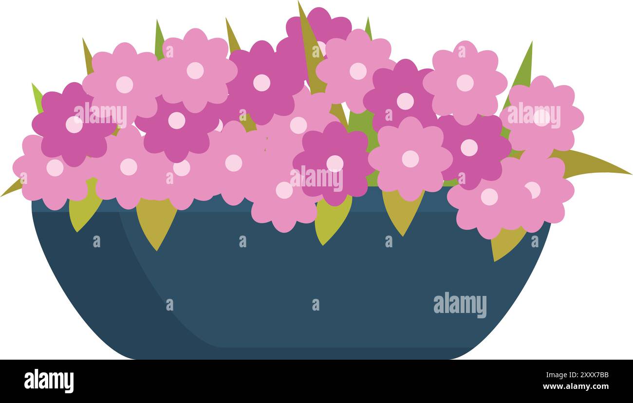 Bouquet of pink flowers growing in blue flowerpot is isolated on white ...