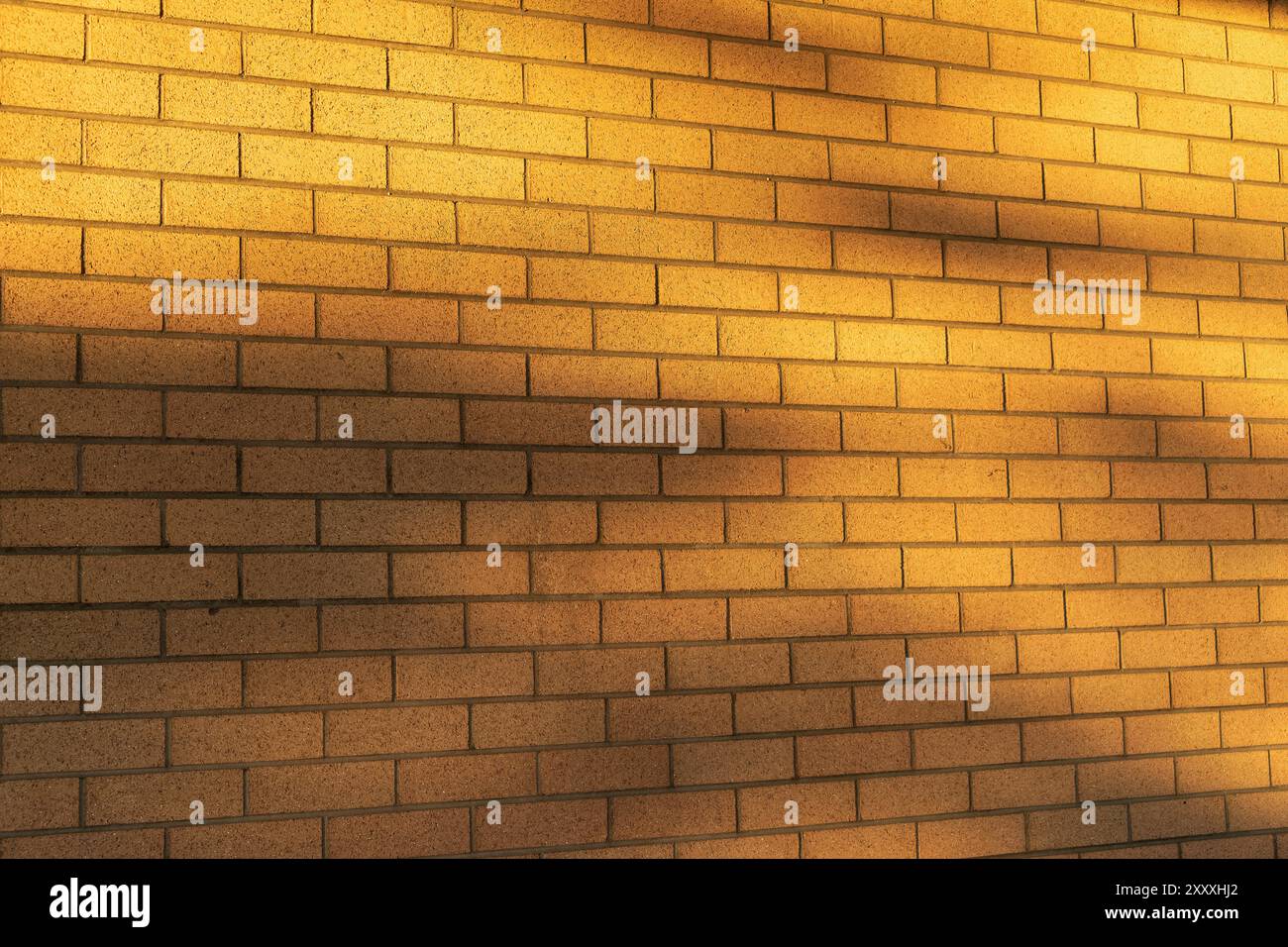Forced Perspective Tree foliage shadows on bright tan brickwork Stock Photo