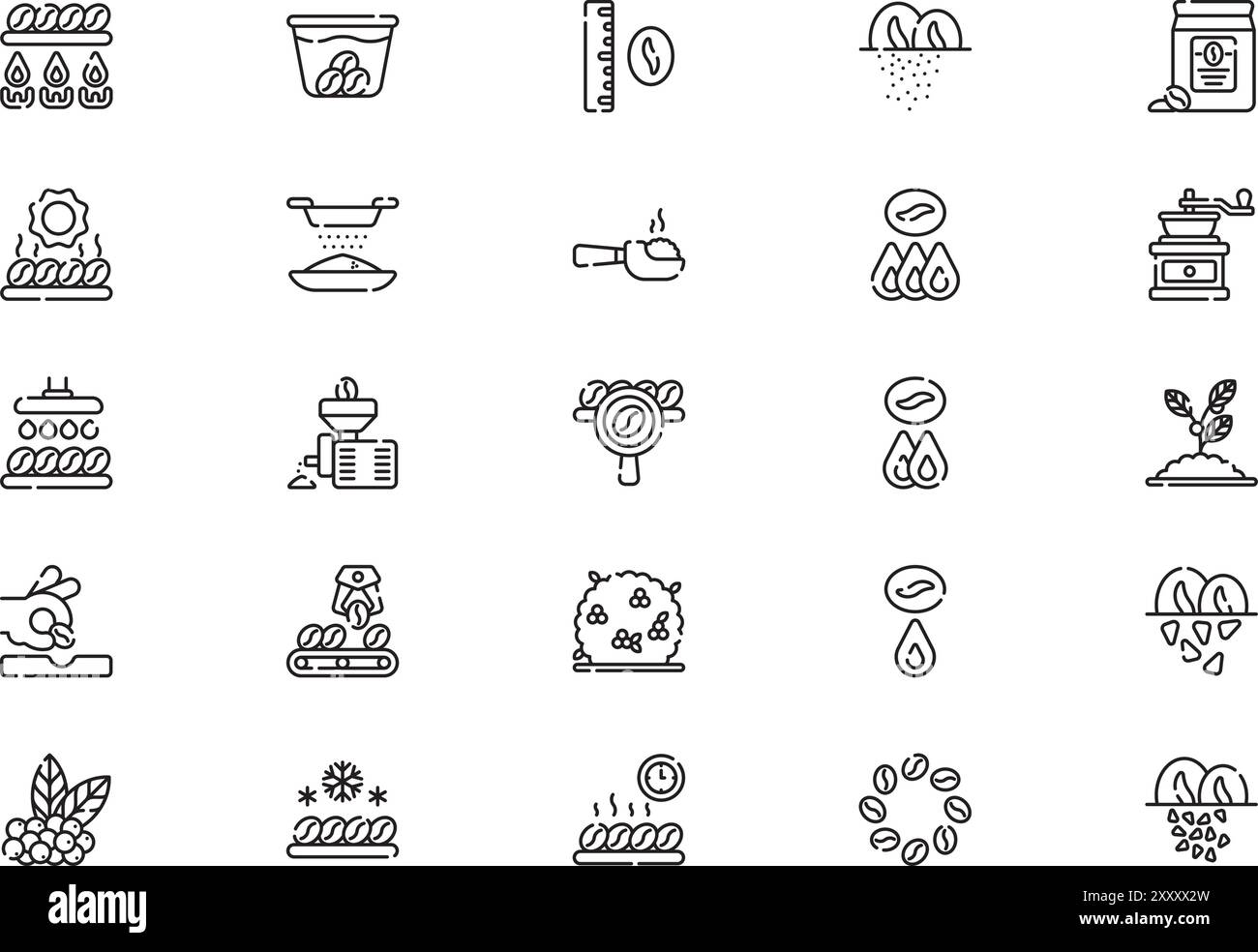 Coffee production icons collection is a vector illustration with ...