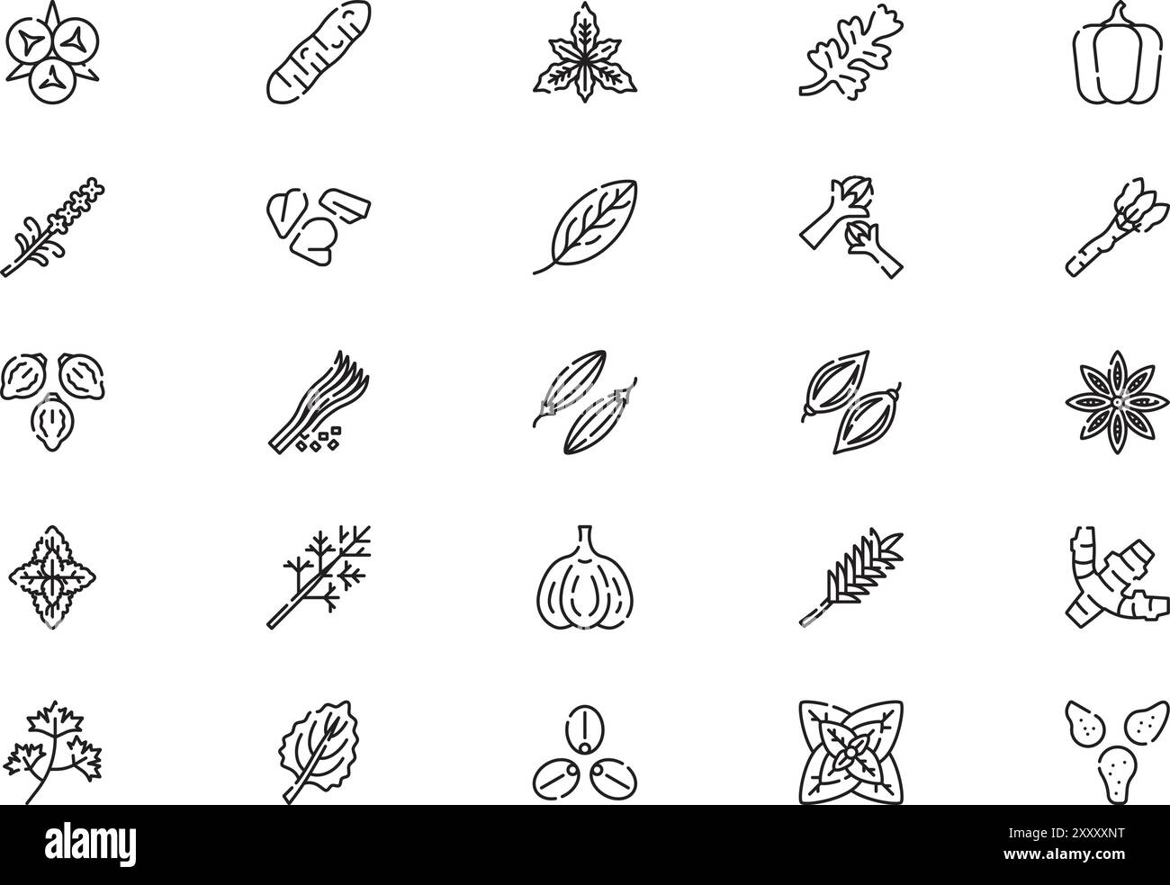 Fennel grains Black and White Stock Photos & Images - Alamy