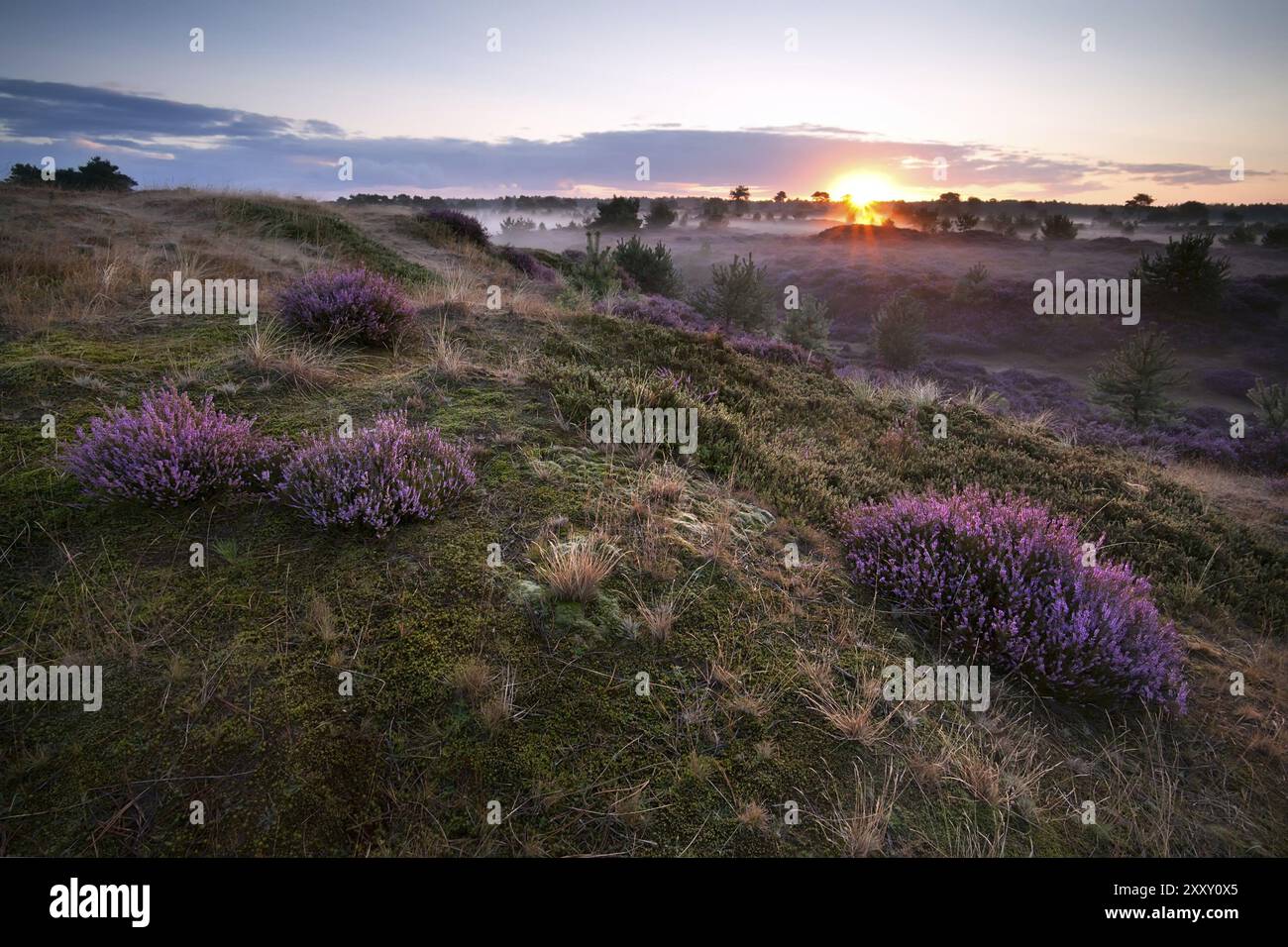 Sunshine rays over hills hi-res stock photography and images - Alamy