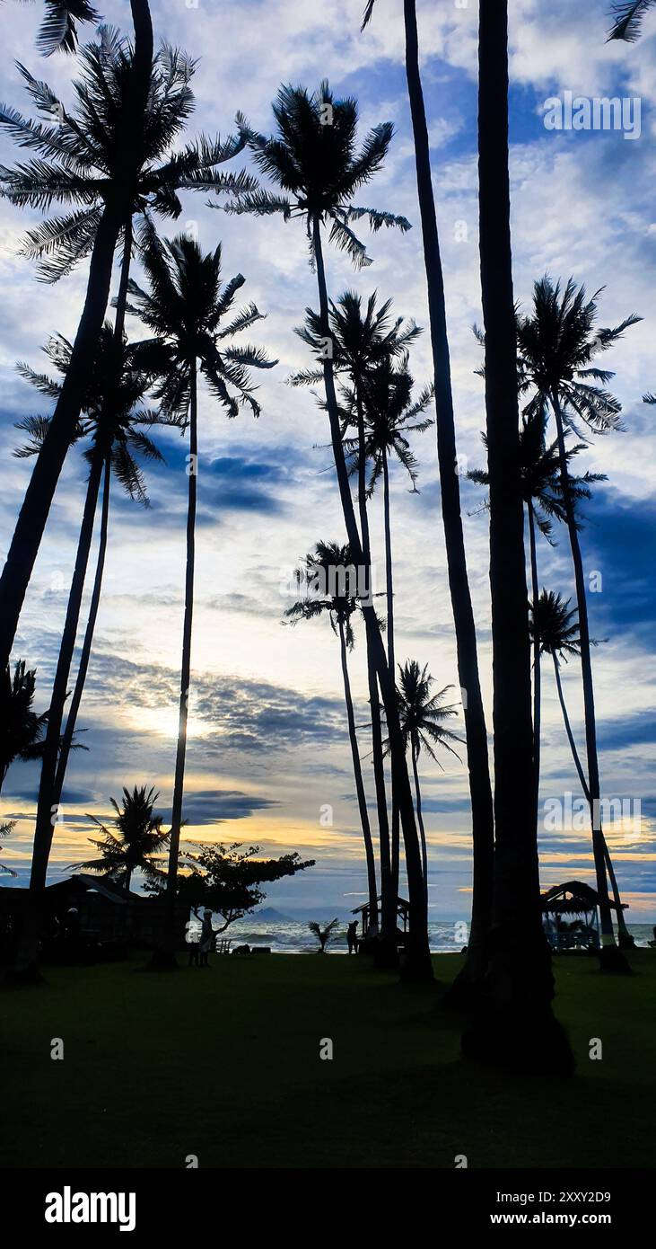 Beautiful sunset in the beach with palm tree silhouette. Portrait photo ...