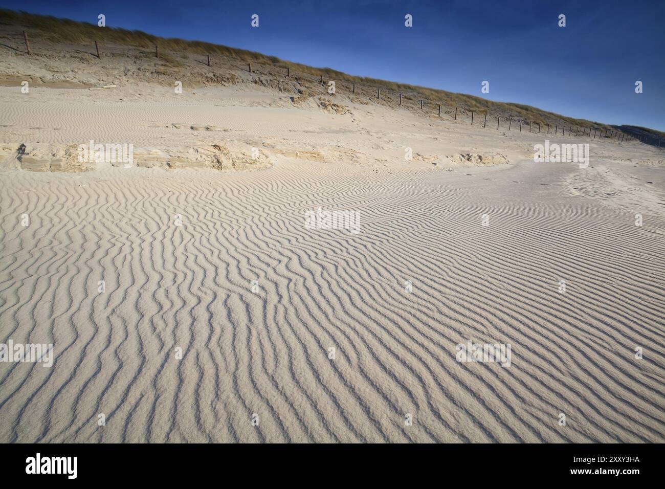 Wave sand texture on beach dunes by North sea, North Holland Stock ...
