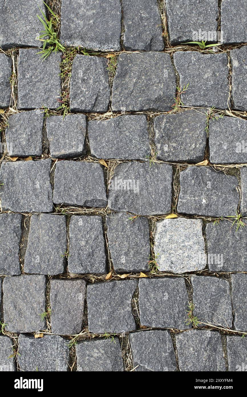 Life surface paving stone hi-res stock photography and images - Alamy