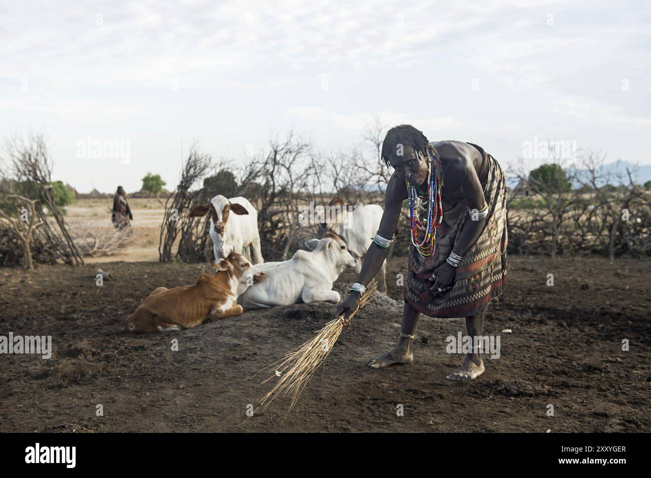 Woman from the Arbore ethnic group sweeping out a cattle kraal, Southern Omo Valley, Ethiopia, Africa Stock Photo