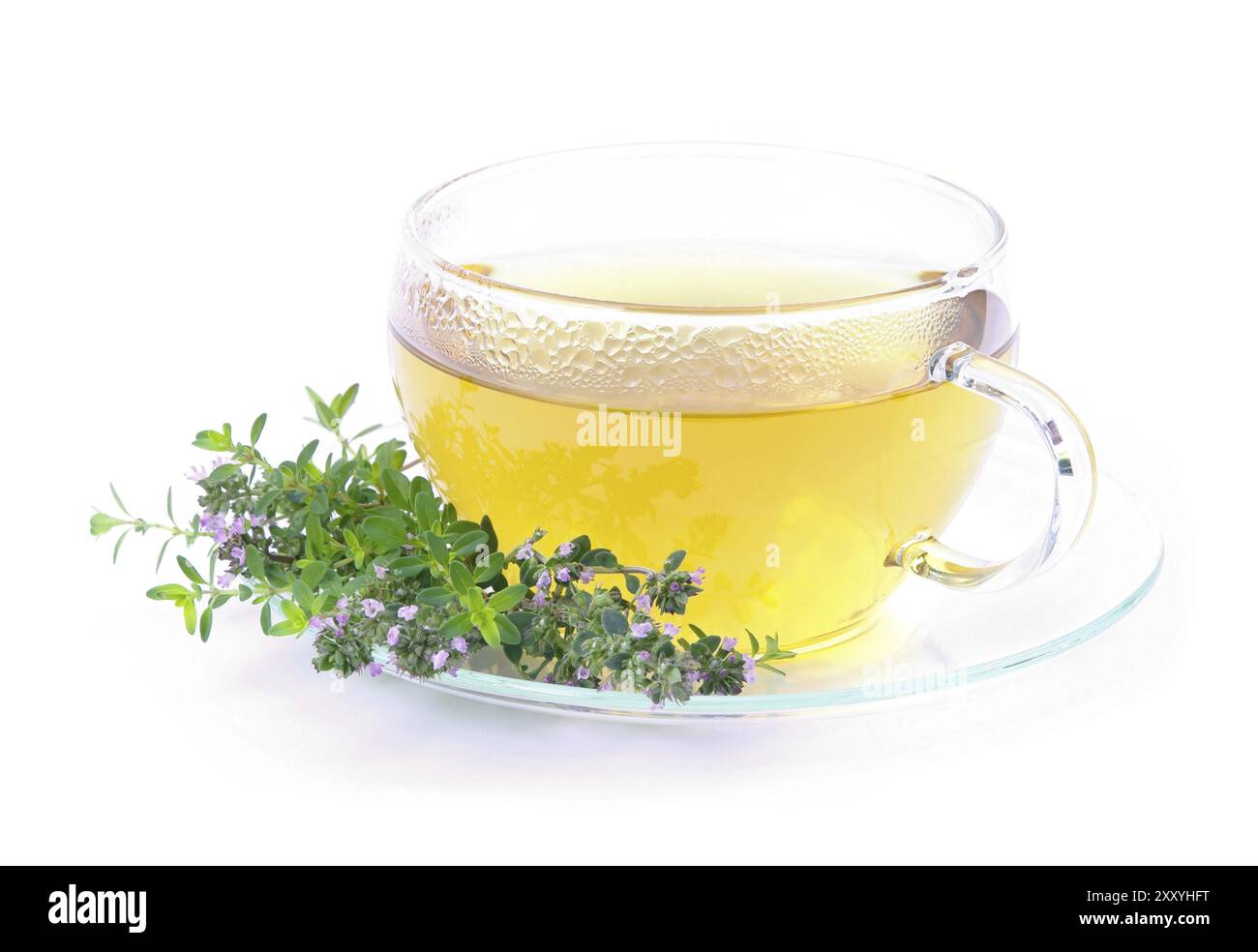 Thyme tea, Thymus tea 04 Stock Photo - Alamy