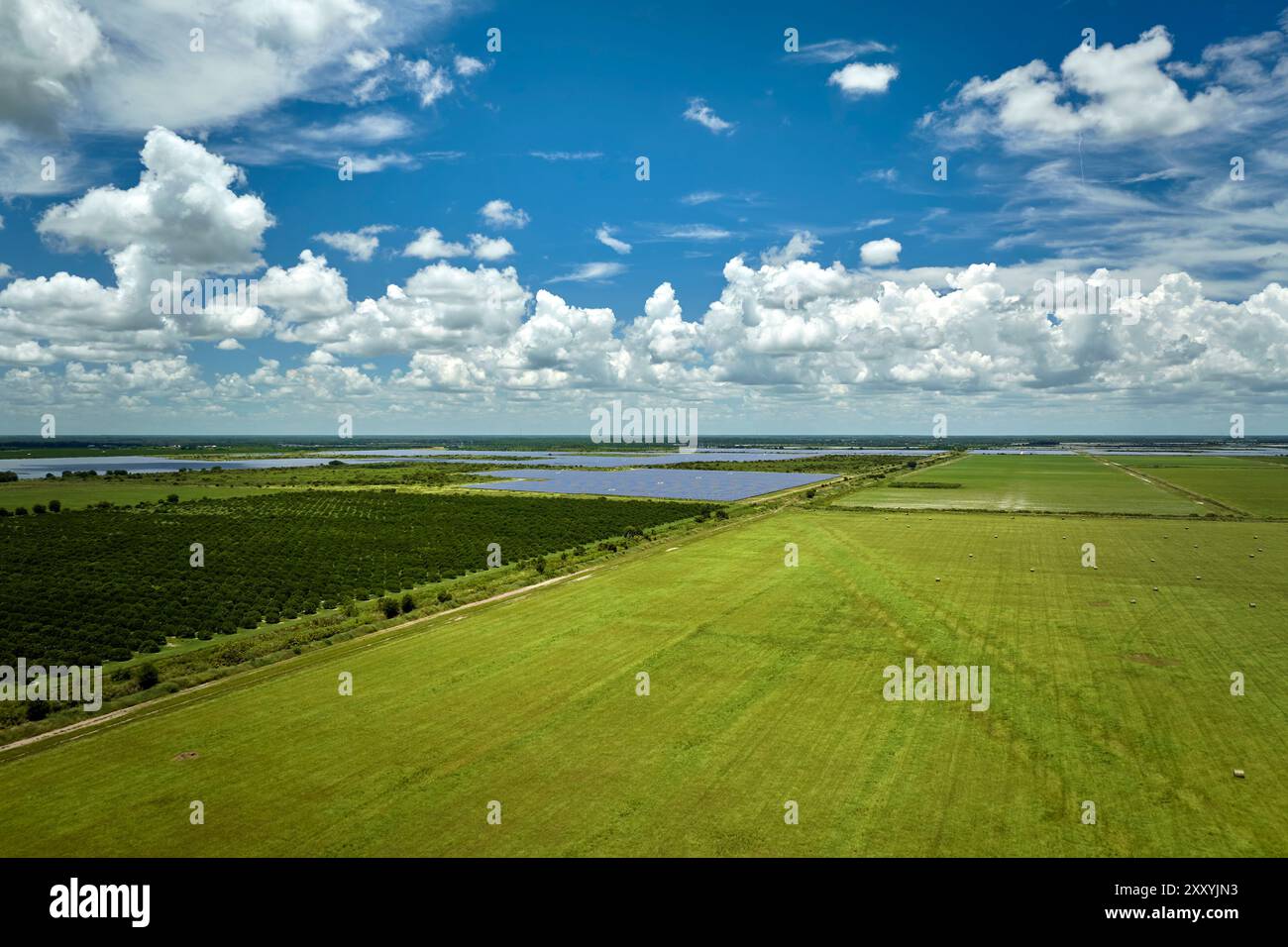 Aerial view of green farm fields in summer season with growing crops ...