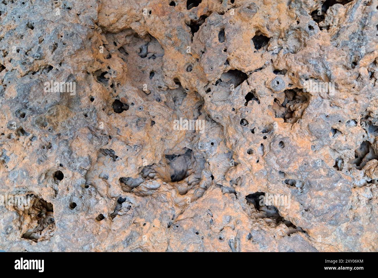 Porous, weathered brown rock with numerous small cavities and irregular ...
