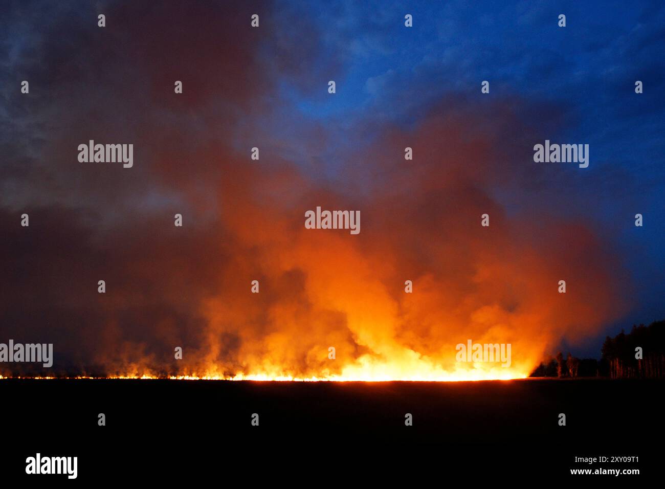Wild forest fire burning hi-res stock photography and images - Alamy