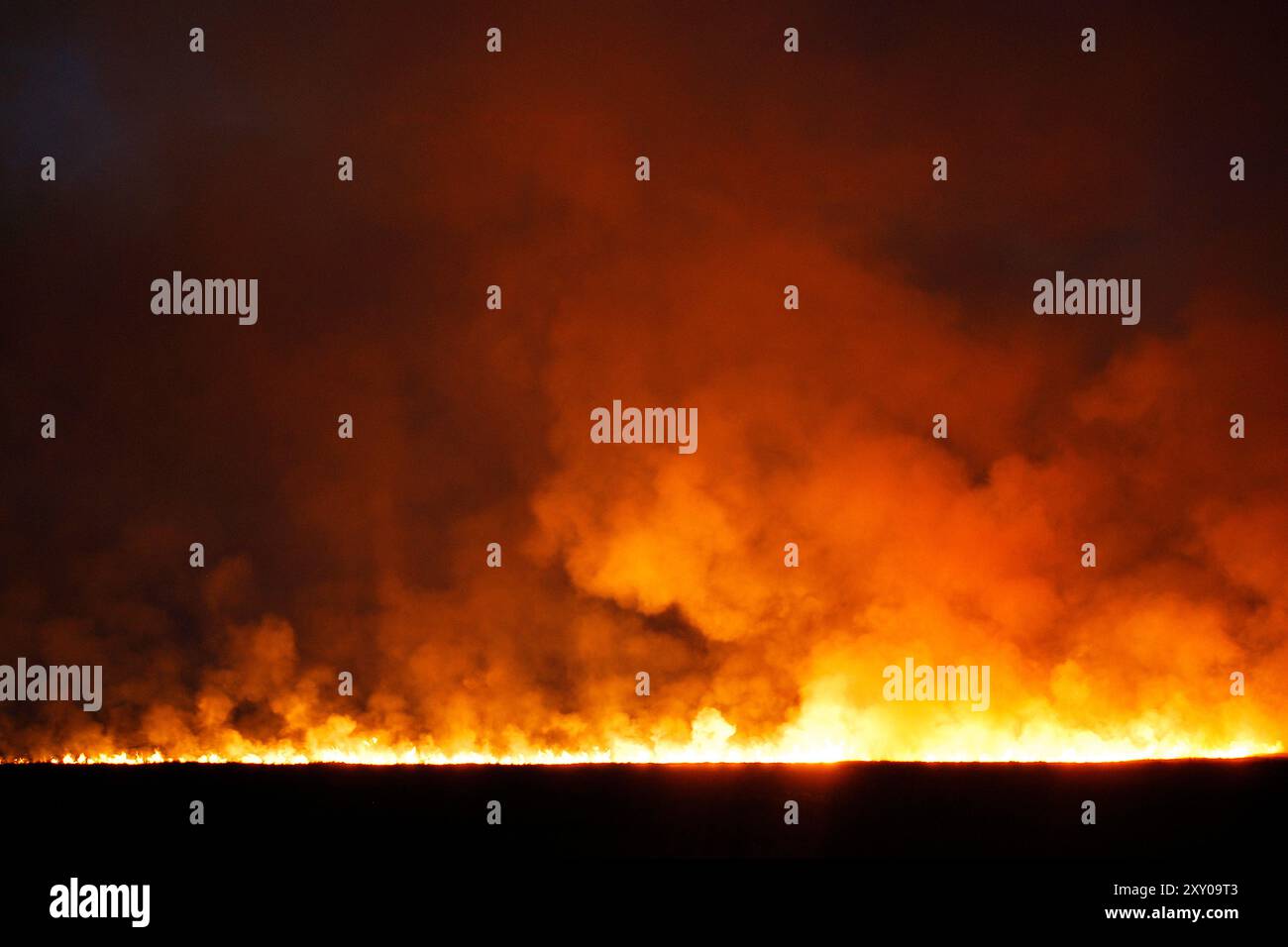 Wildfire wild wildfires fires hi-res stock photography and images - Alamy